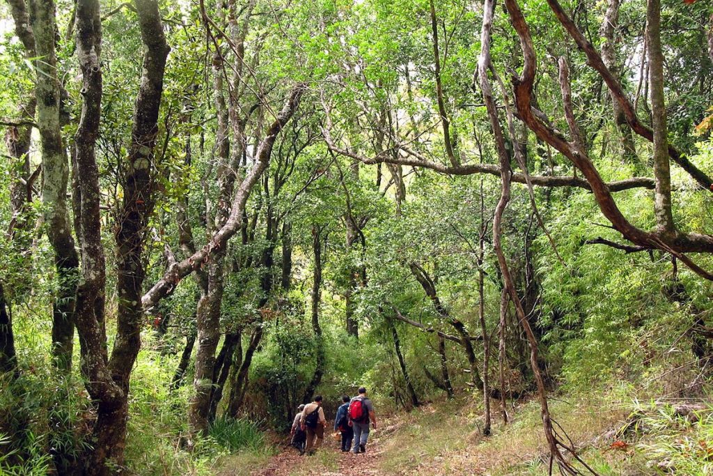 Comprar un departamento cerca de Reserva Nacional Nonguén