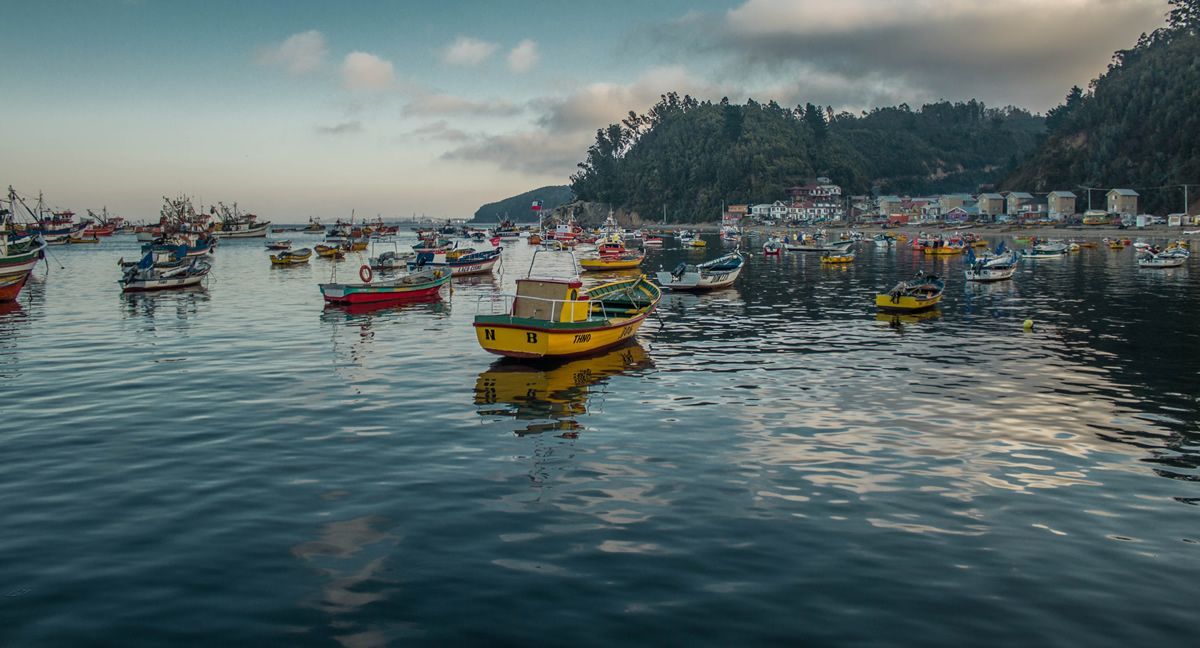 Departamentos en Talcahuano: Una oportunidad de inversión en Chile