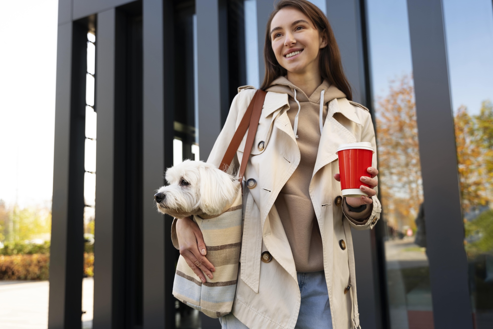 Mascotas en edificios: Armonía y felicidad para todos